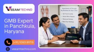 Google Business Profile Expert in Panchkula, Haryana 2026